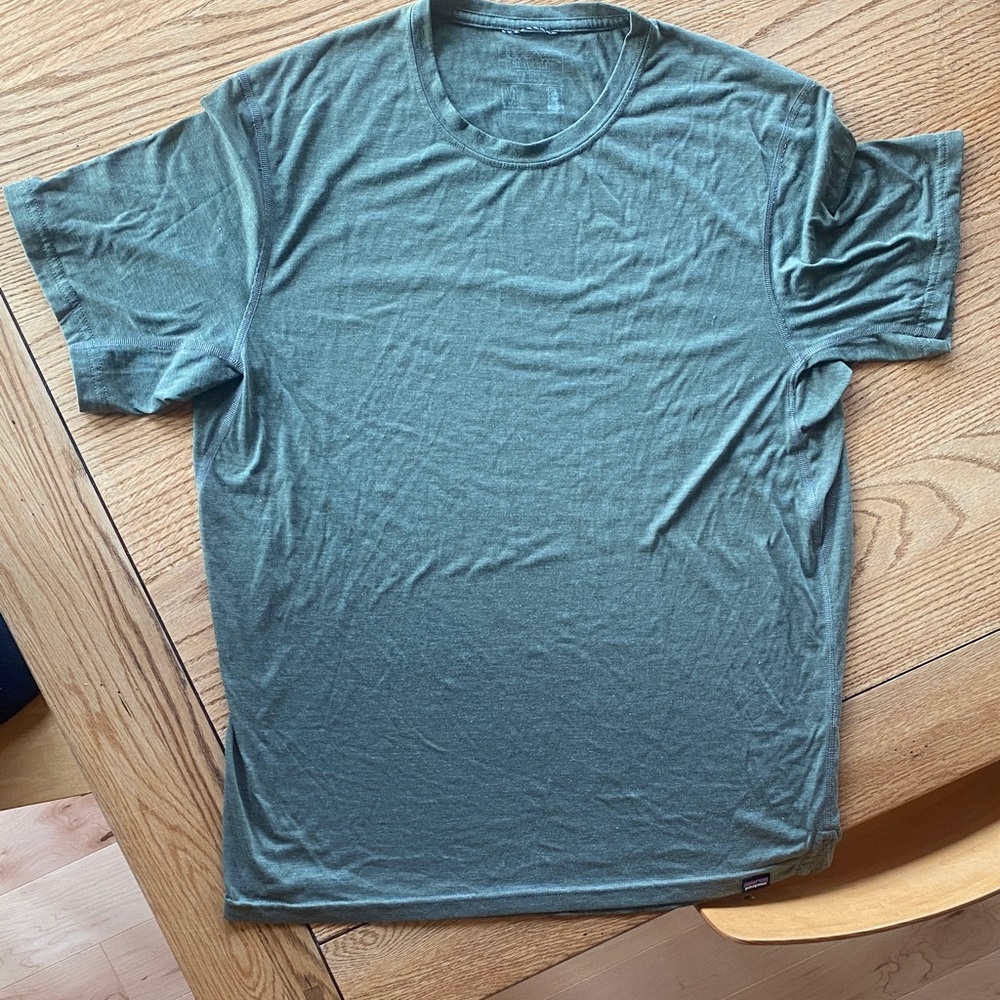 Patagonia Men's Short Sleeve Tee in Sage